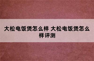 大松电饭煲怎么样 大松电饭煲怎么样评测